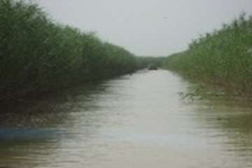 مختصری در خصوص وضعیت جغرافیائی شهرستان هویزه