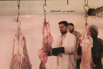 تصاوير قديمي از فعاليت هاي دامپزشكي خوزستان