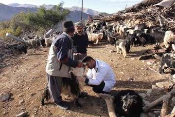 خدمات رسانی به عشایر منطقه صعب العبور کمفه