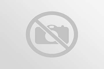 بازدید از کشتارگاه بلدرچین