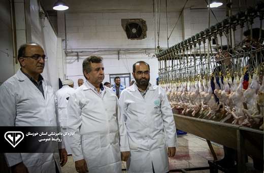 بازدید شبانه معاون استاندار خوزستان از روند تولید مرغ کشتار روز و انجام نظارت‌های شرعی و بهداشتی دامپزشکی در کشتارگاه طیور 