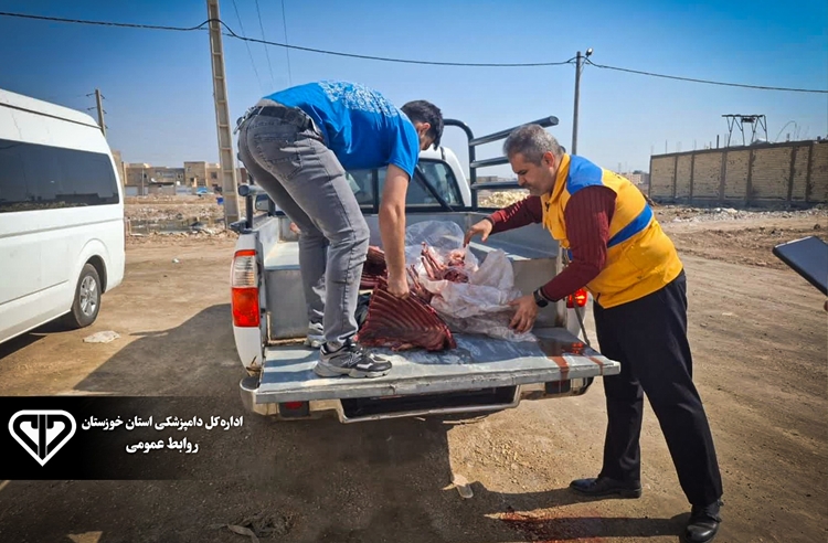 کشف گوشت اسب قبل از رسیدن به دست شهروندان در شهرستان آبادان 