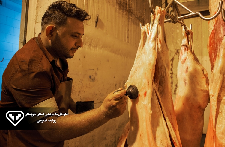 ضبط و معدوم سازی 21 لاشه دام سبک بیمار در کشتارگاه دام شهرداری هفتکل