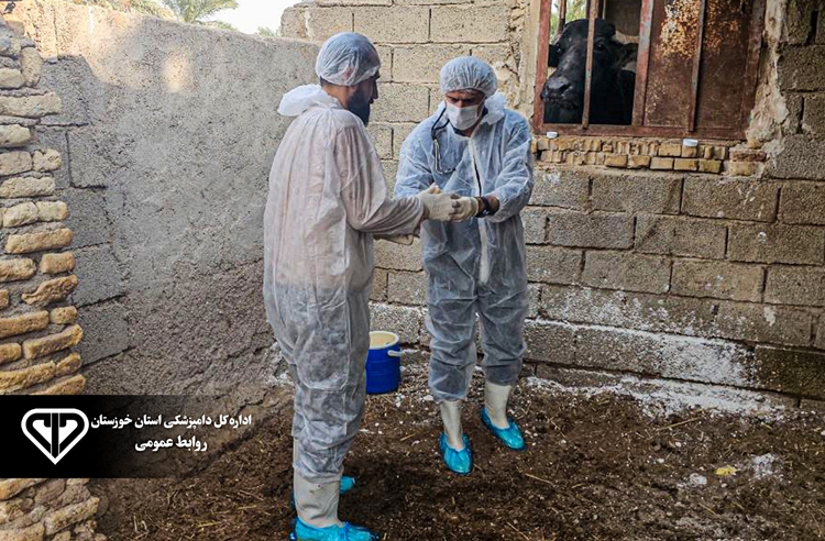 پایش مستمر واحدهای دامی آبادان برای پیشگیری و مقابله با بیماری تب برفکی