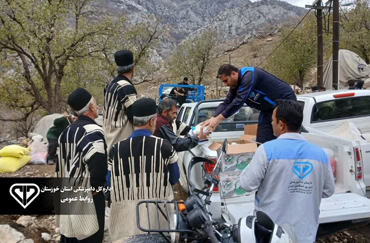 ارائه خدمات فوری دامپزشکی به دامداران سیل‌زده اندیکا؛ پوشش بهداشتی و درمانی ۵۸۰۰ رأس دام سبک