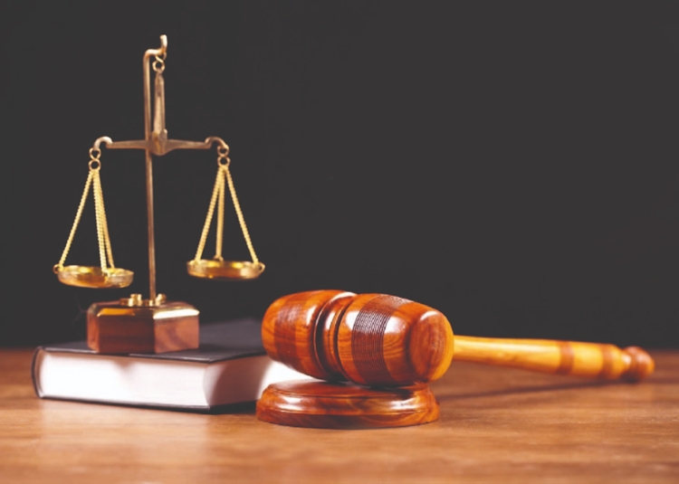 معرفی ۱۱ متخلف کشتار غیرمجاز دام در روستای رود زرد به مراجع قضایی