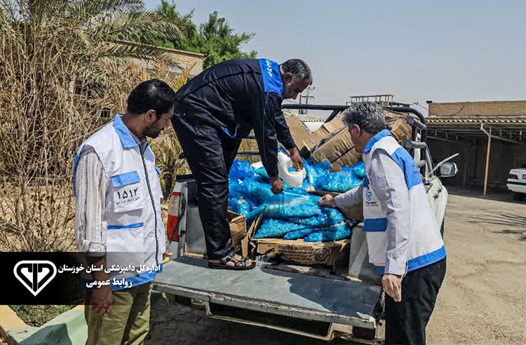 کشف و معدوم سازی 180 کیلوگرم میگوی فرآوری فاقد رعایت ضوابط بهداشتی قرنطینه ای سازمان دامپزشکی در آبادان