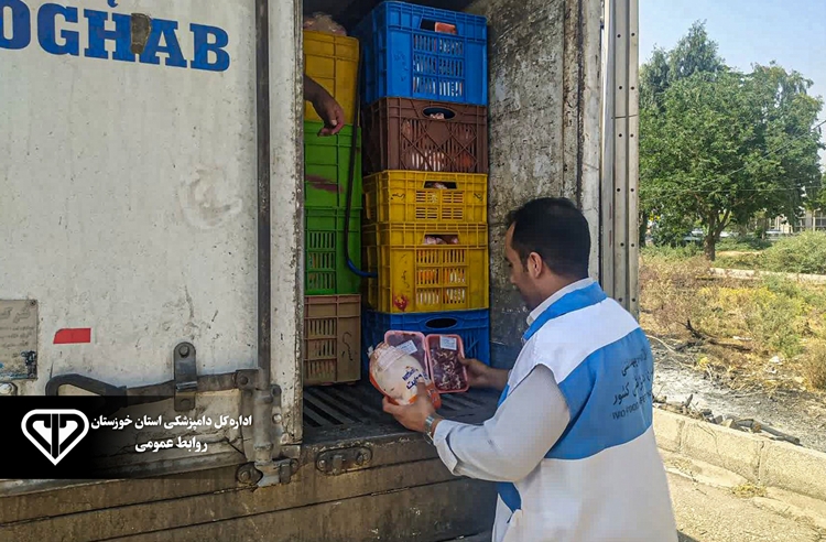 توقیف خودرو متخلف حمل و پخش مرغ کشتار روز در شهرستان ایذه