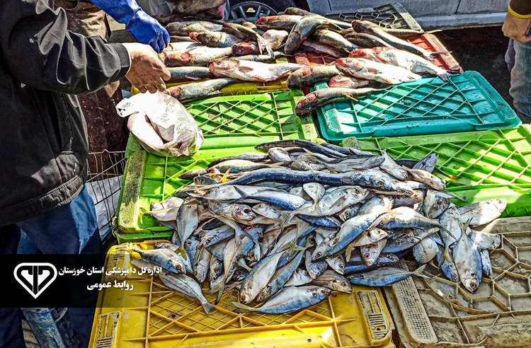 برخورد قاطع با ماهی‌فروشان سیار در مسجدسلیمان